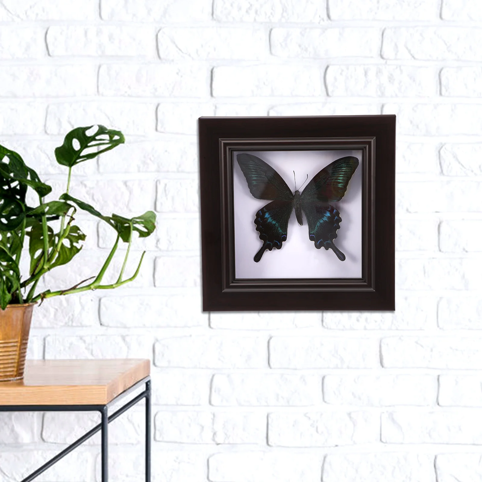 Имитированный образец бабочки Ручной работы, редкие и изысканные образцы декора, висящий на стене Образец для коллекции Education Rese